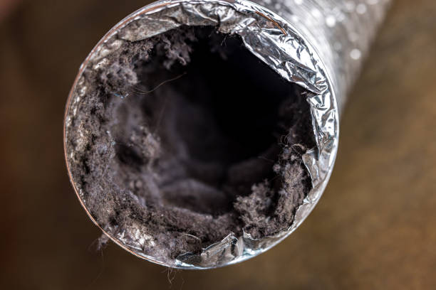 Best Dryer Vent Cleaning Services  in Kincheloe, MI